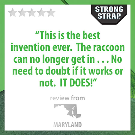 best invention ever against raccoons