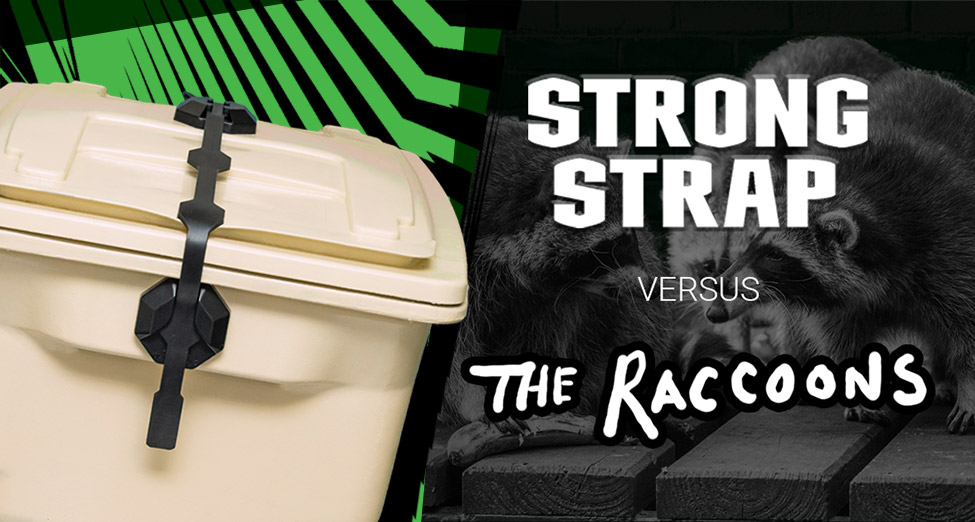 garbage can with strong strap versus three raccoons